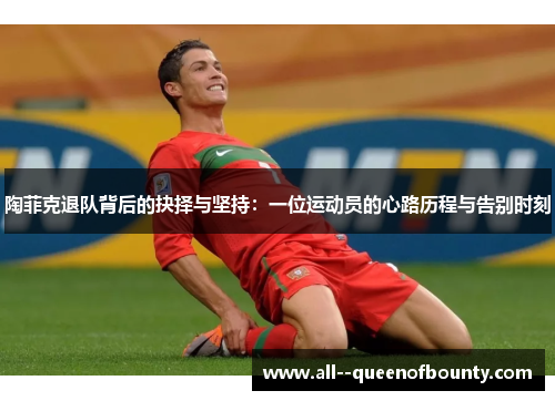 陶菲克退队背后的抉择与坚持：一位运动员的心路历程与告别时刻